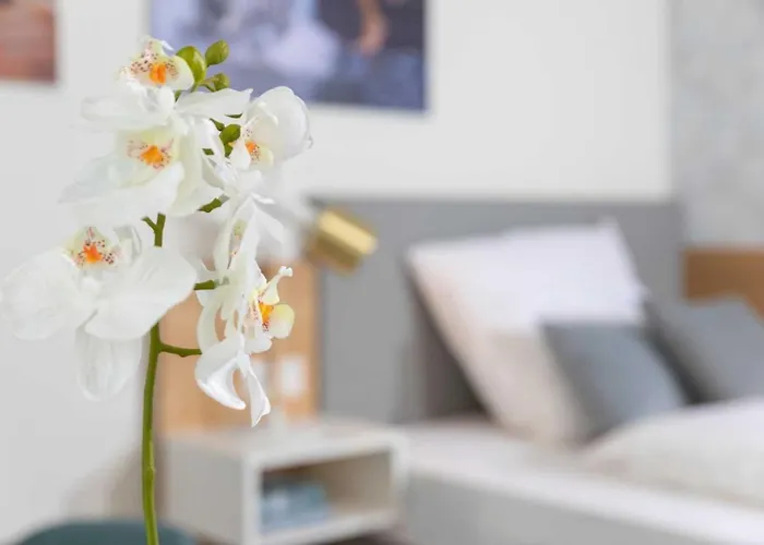 Nino-boardinghouse 23 公寓